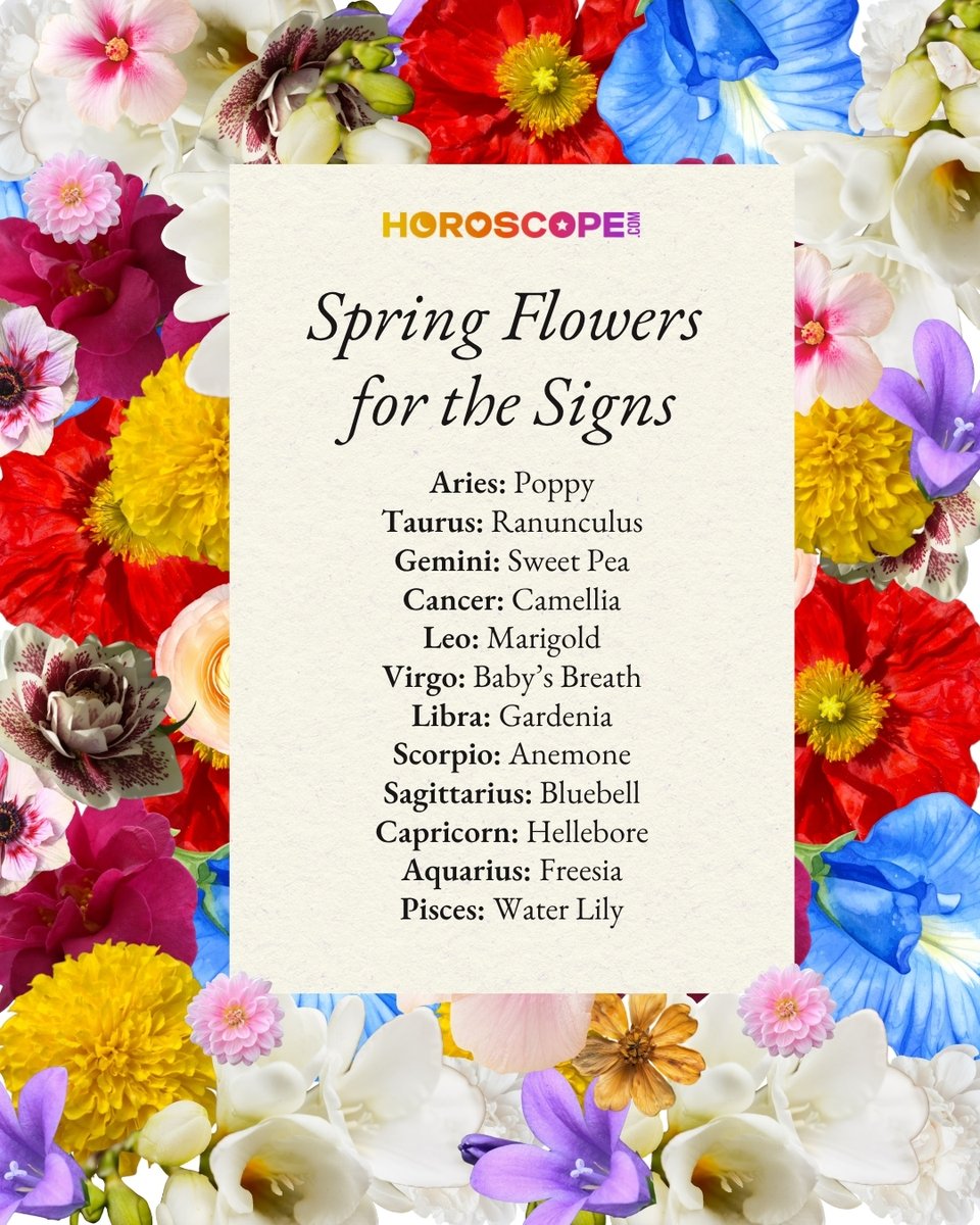 horoscopedotcom's tweet image. Spring flowers for the signs!💐 Have you seen your flower around lately? If not, it's time to get out there and smell the roses! 

#horoscope #zodiacsigns #springvibes