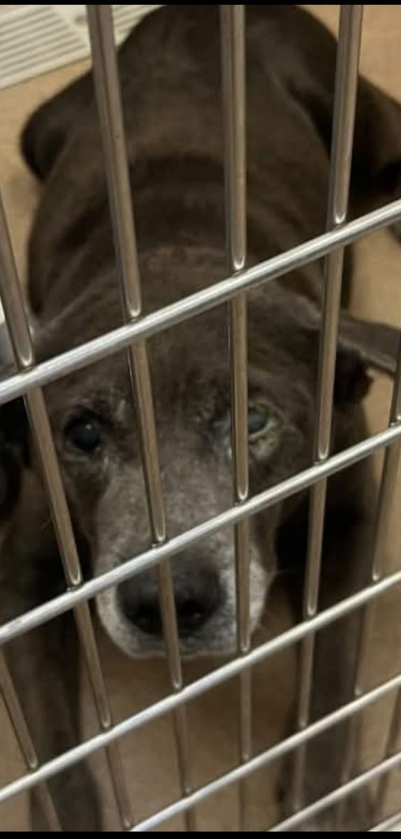 Fionaismybitch tweet media