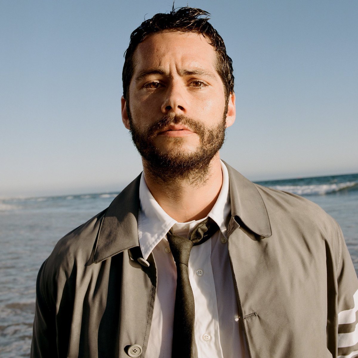 Film Updates tweet media