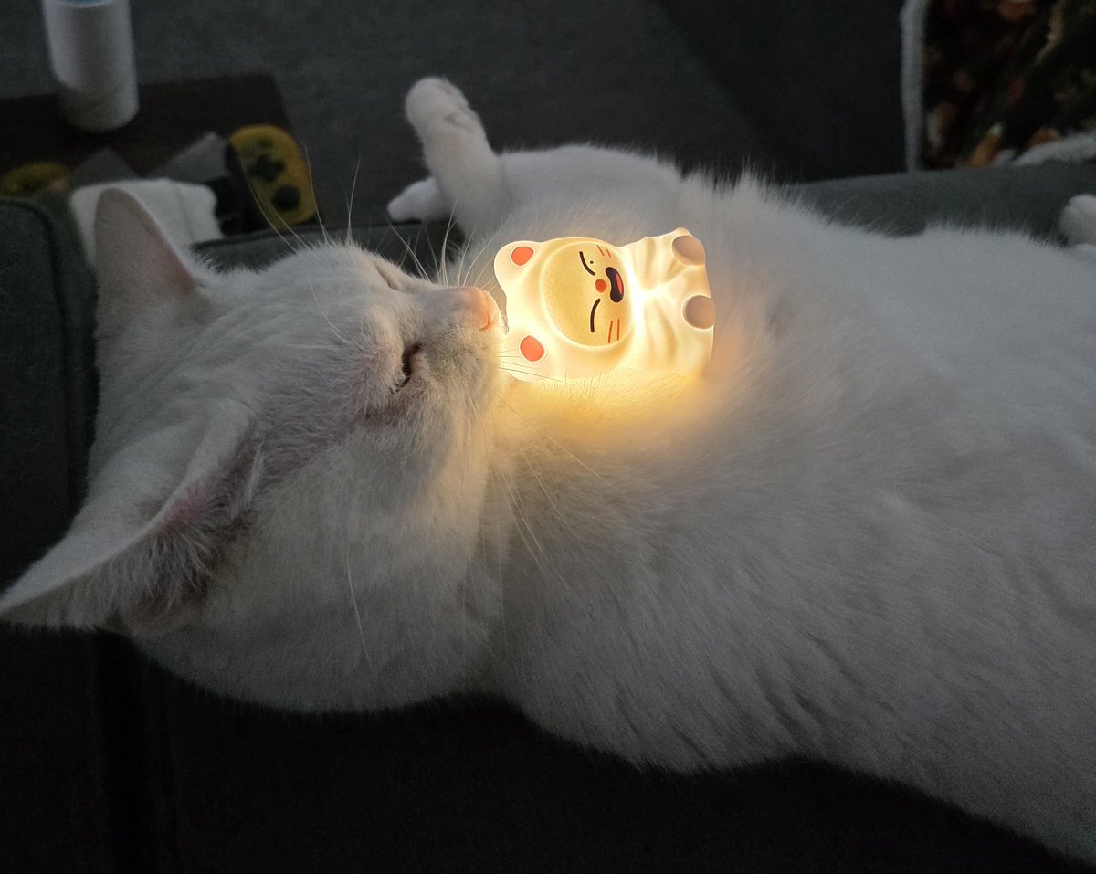 ✧ LJ *𖠌⭑ tweet media