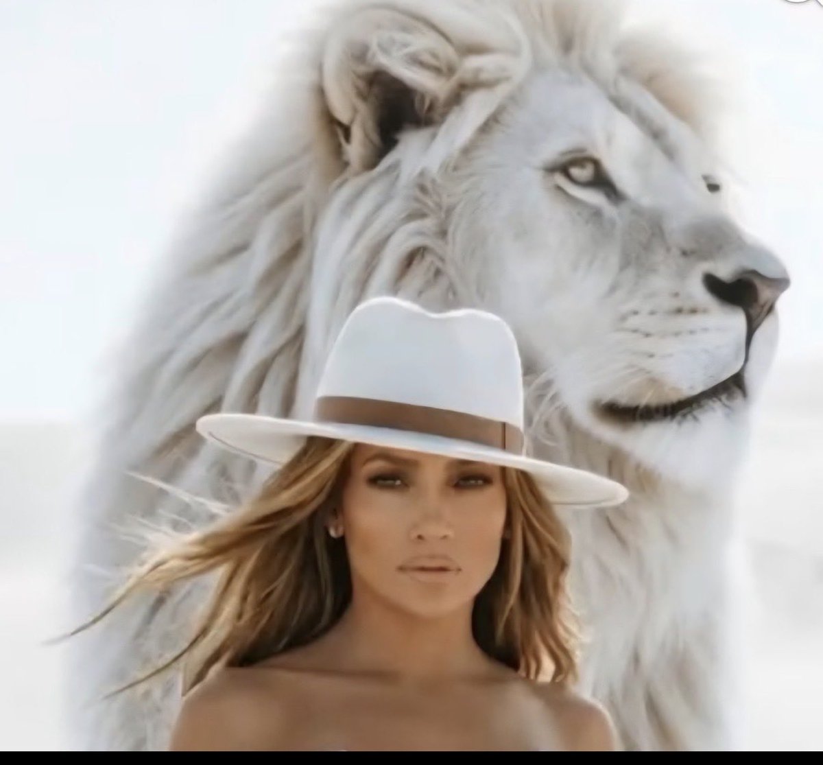 Stevenlu tweet media