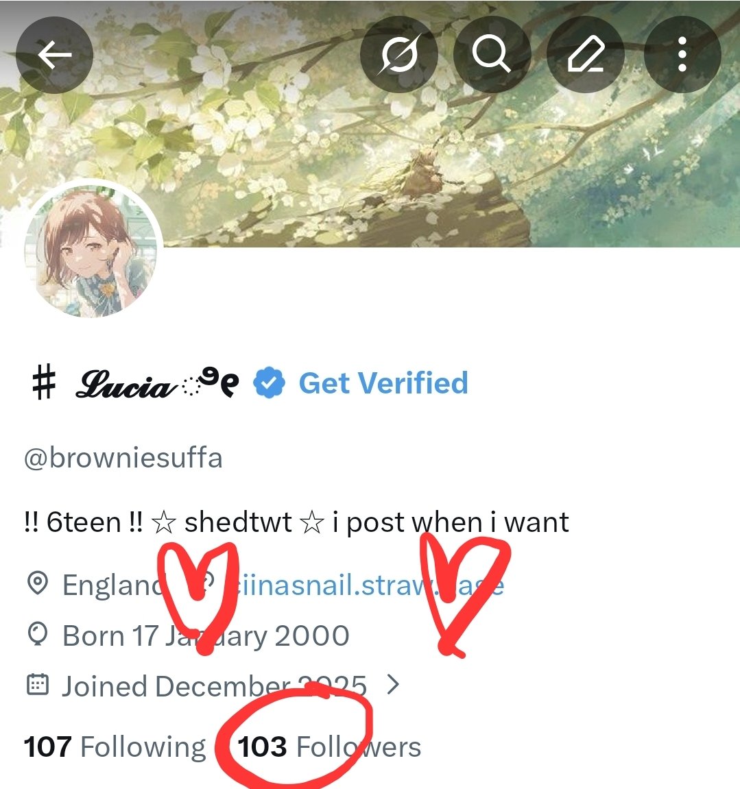 ♯ 𝓛𝓾𝓬𝓲𝓪 ೀ tweet media