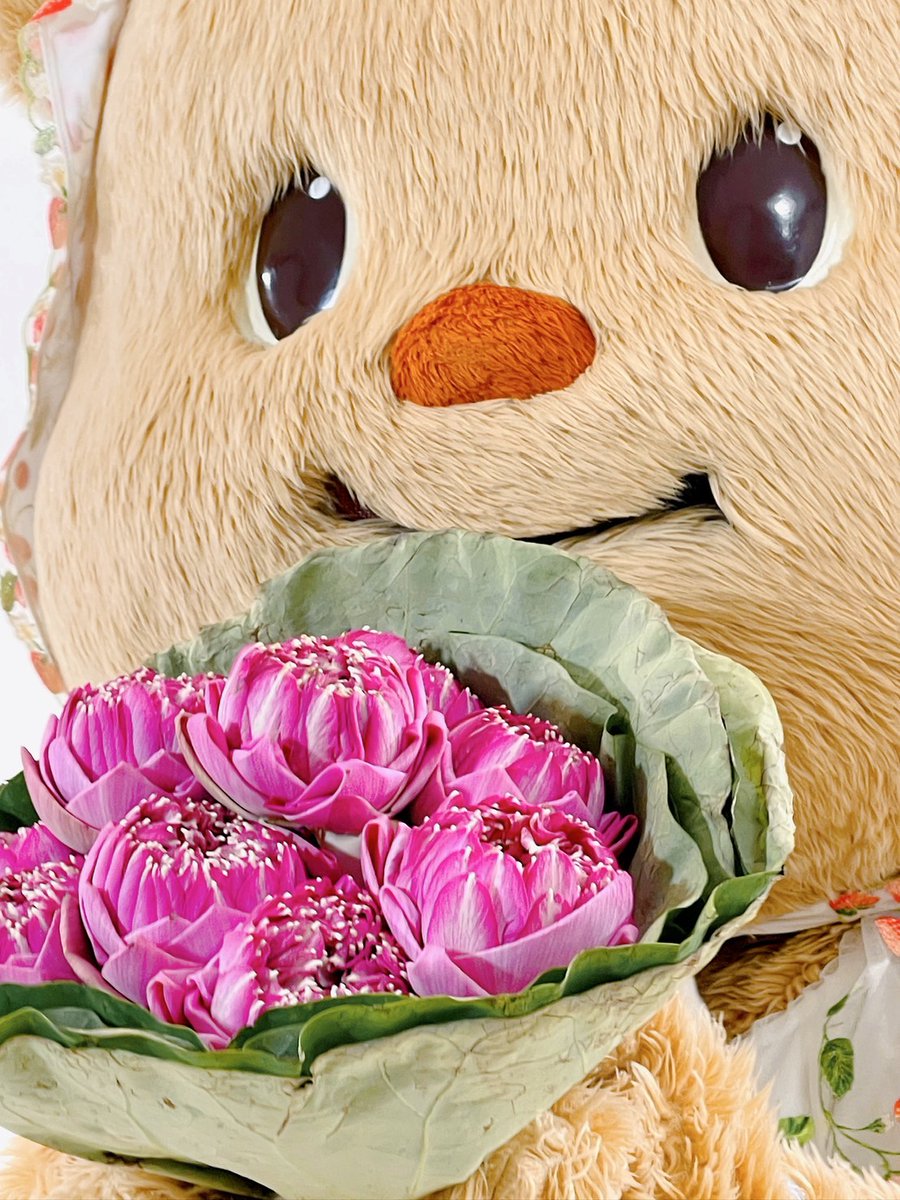 Butterbear.th tweet media
