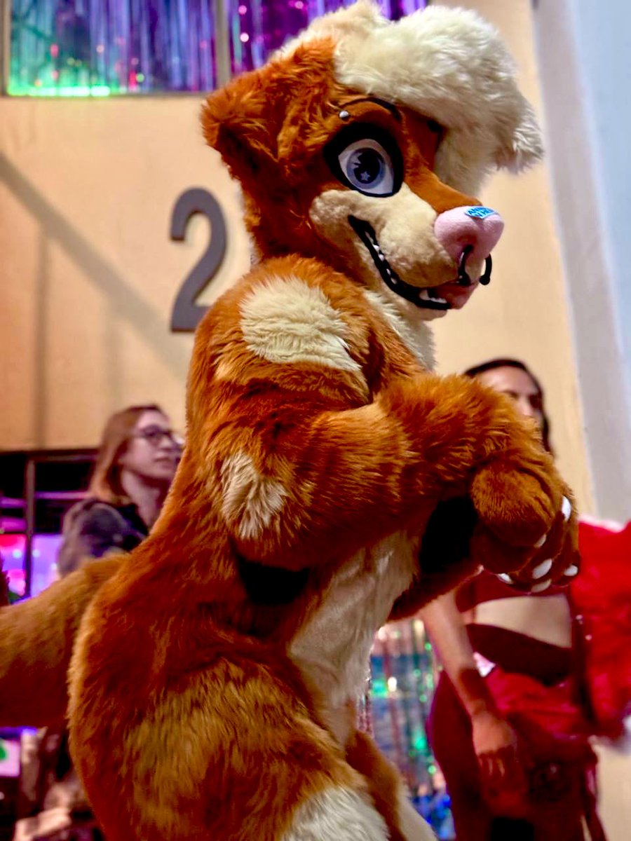 DJ 💪🐶 🔜 LVFC, EDC tweet media