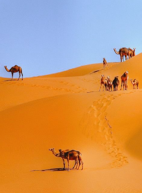 This is world tweet media