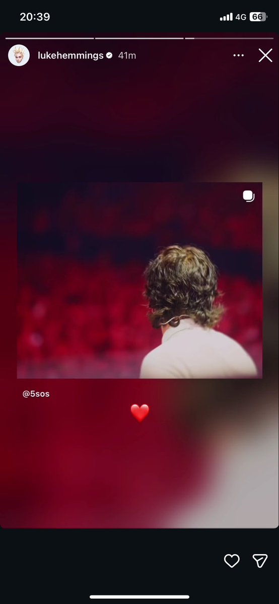 aziliz ⭑ on tour! tweet media