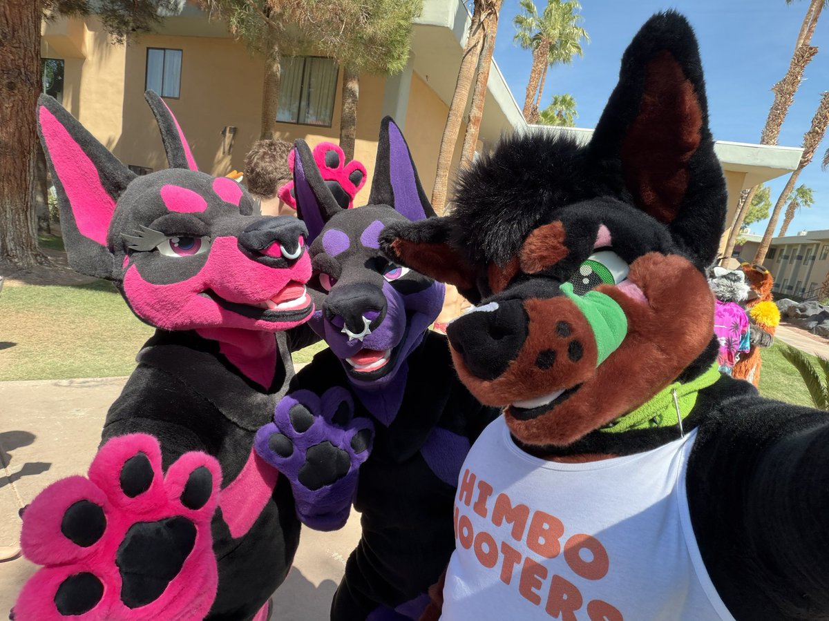 HipsterDawg's tweet image. What’s better than one Doberman on #FursuitFriday ? Three of them!!! #furryfandom #LVFC2026 #HipsterDawg #Doberman 

w/ @PinkPurplePups