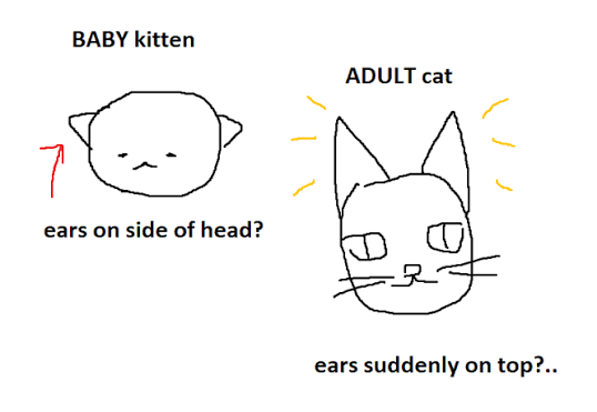 𖤐 flørian .ᐟ tweet media