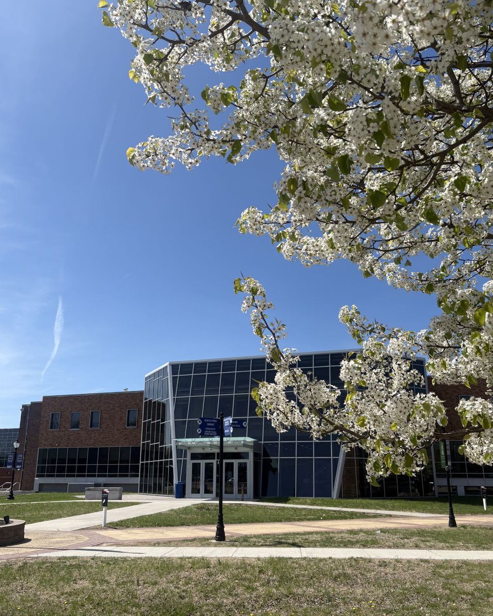 Camden County College tweet media