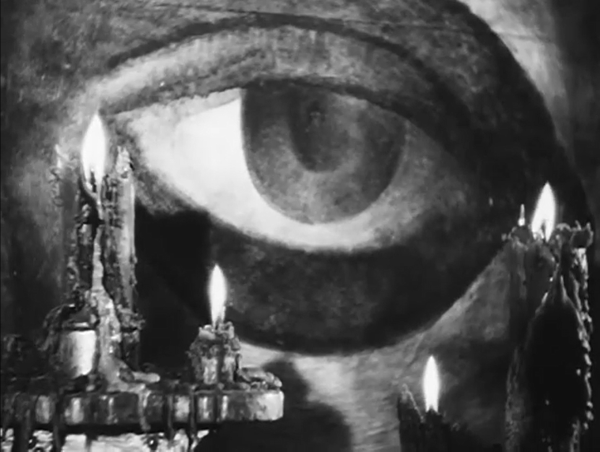 mkaterina tweet media