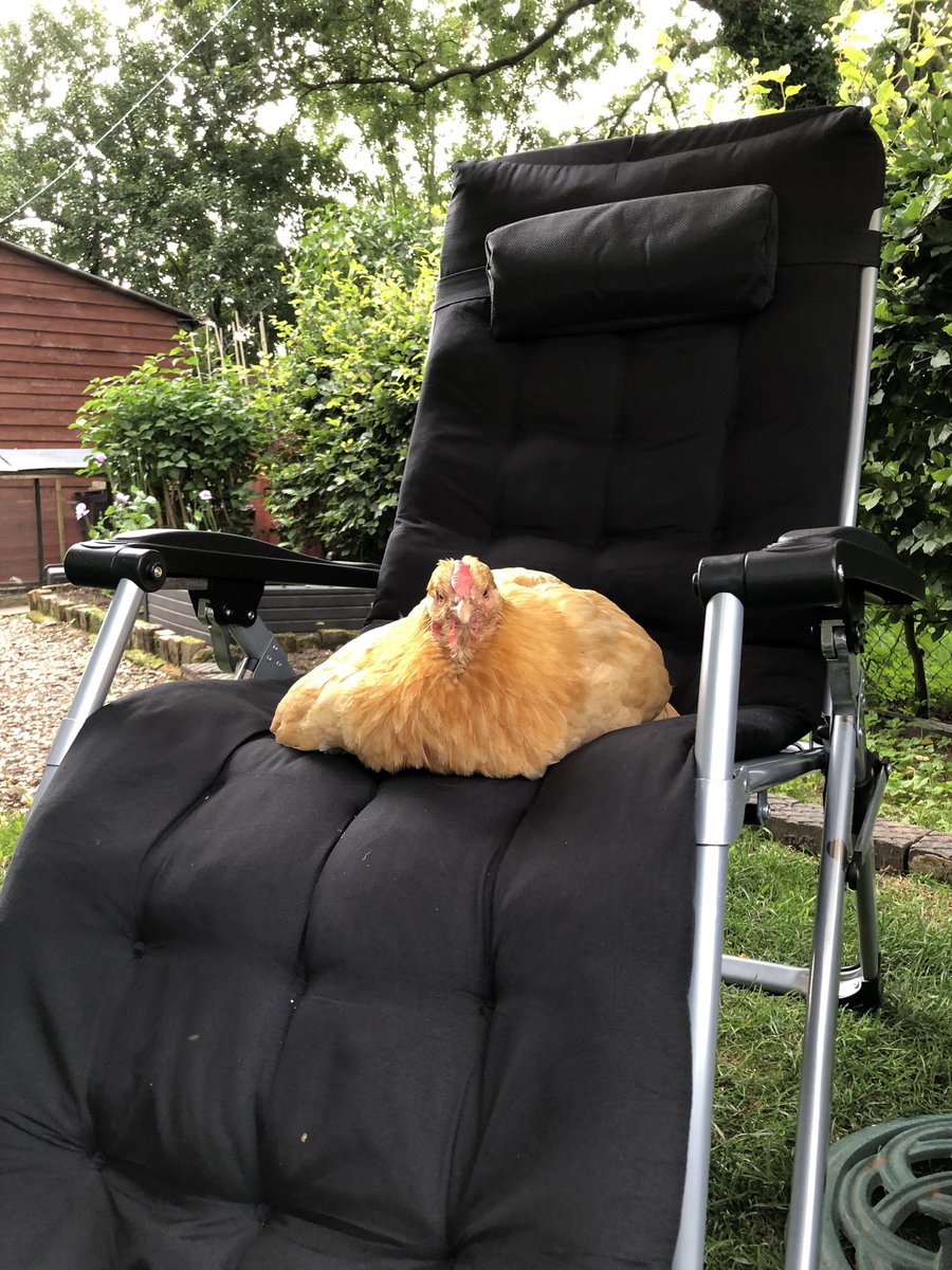 ash 🪿 tweet media