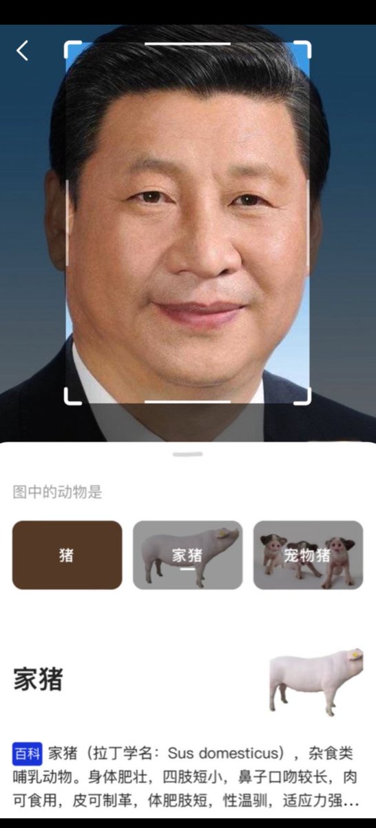 ramez20010's tweet photo. @Ryoch1_8964 何意味 https://t.co/JEFpkY79KH
