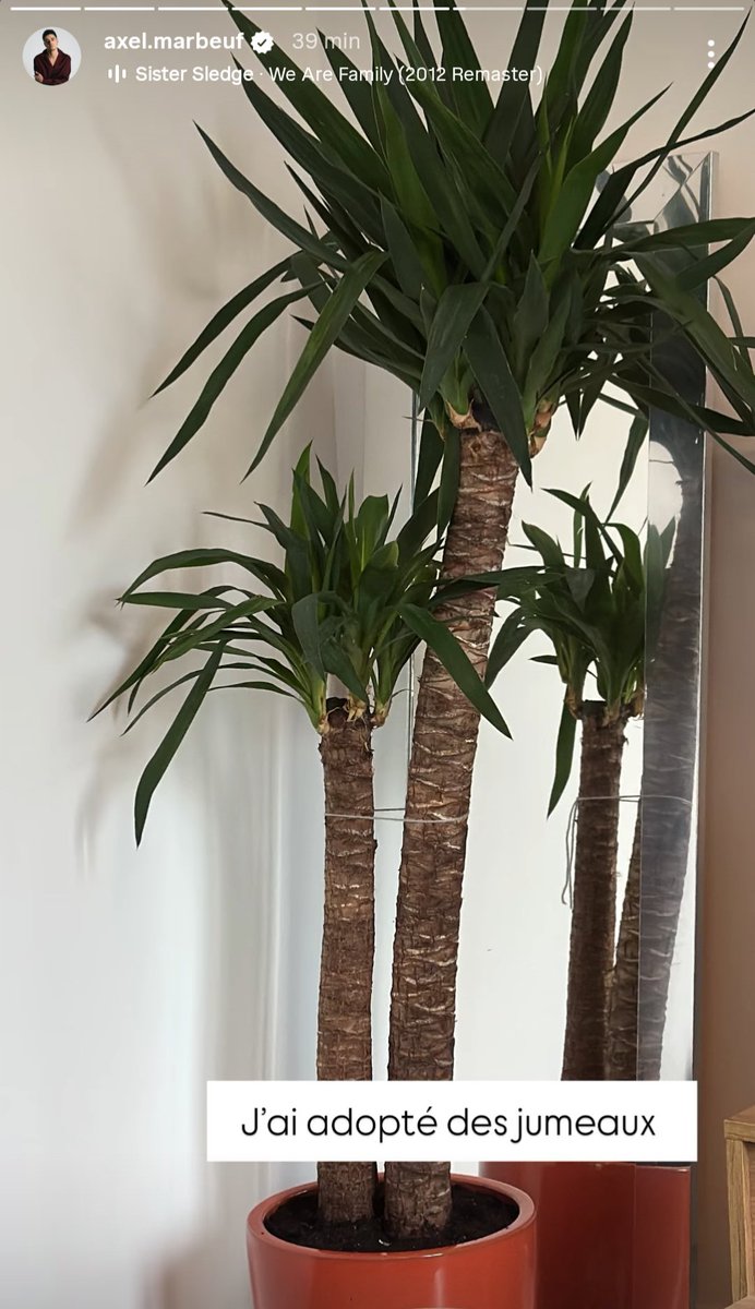 suilln 🌒 🎸🤟 tweet media