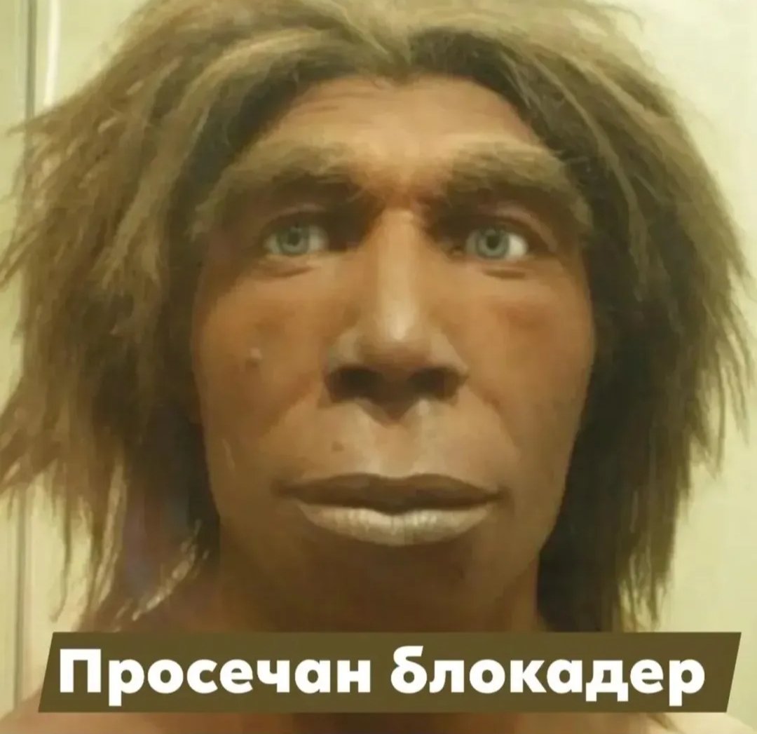 Petar Marić tweet media