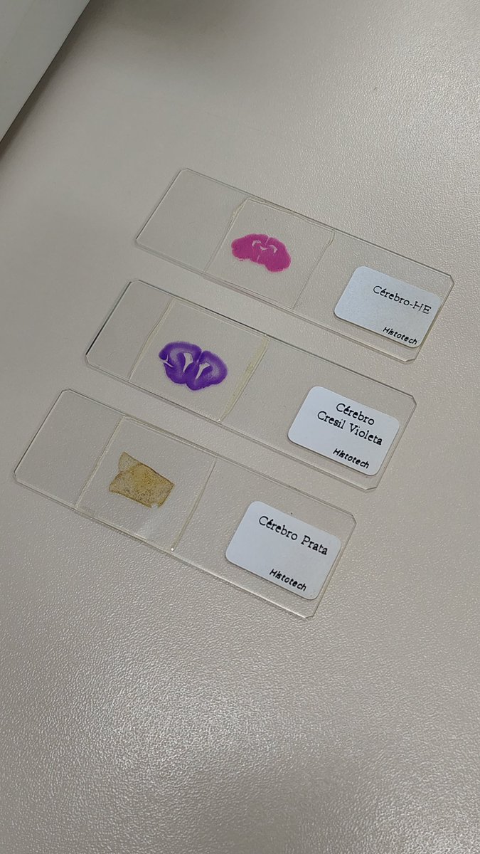 iestudiesbr's tweet image. Oficialmente, primeira semana de aula (pra valer) 🙏🏼