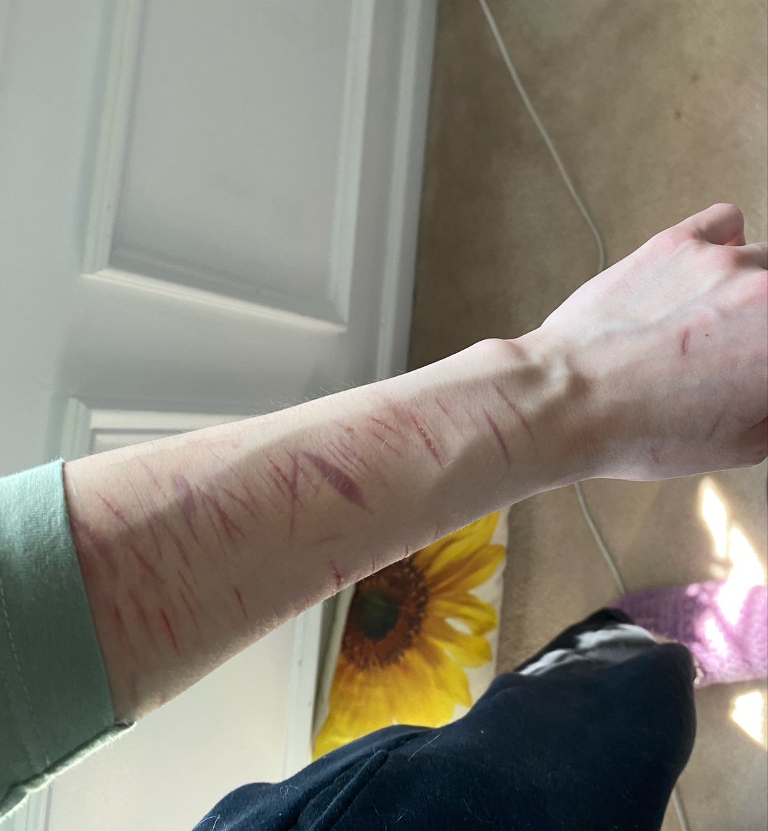 tonia 🫐 tweet media