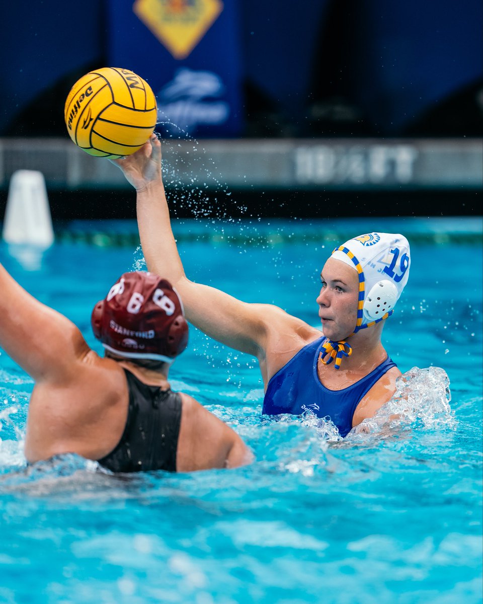 San Jose State Women's Water Polo tweet media