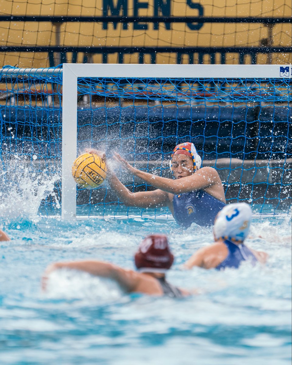 San Jose State Women's Water Polo tweet media