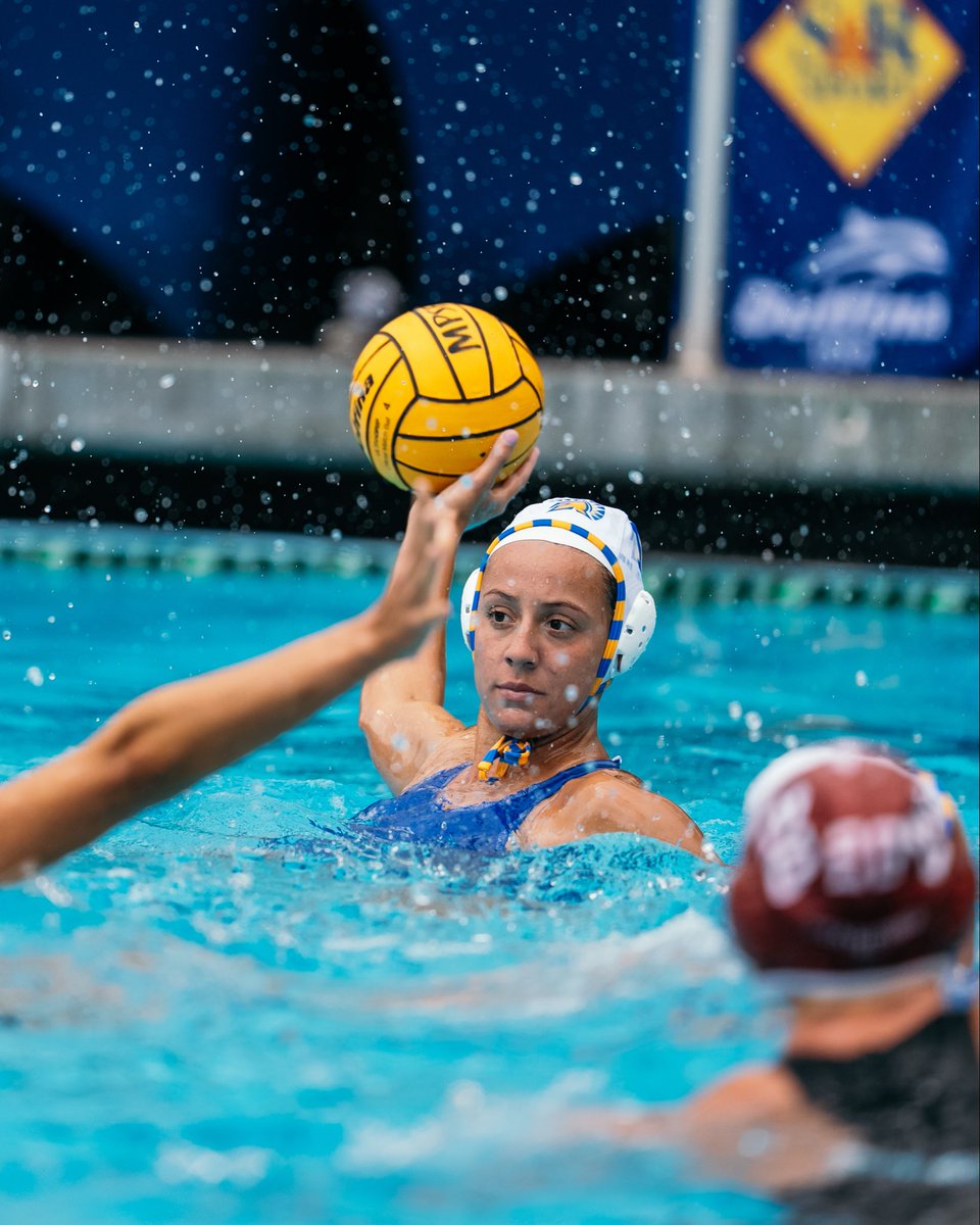 San Jose State Women's Water Polo tweet media