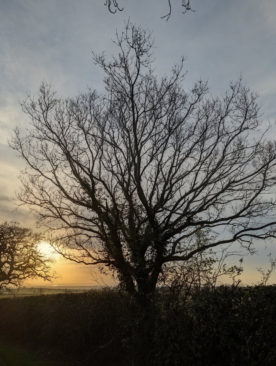 Papadopoli60571's tweet image. #sunset