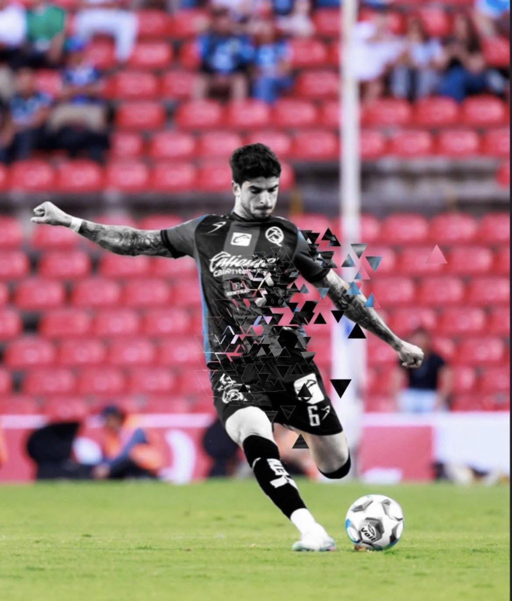 The White Rooster (GASHO) tweet media