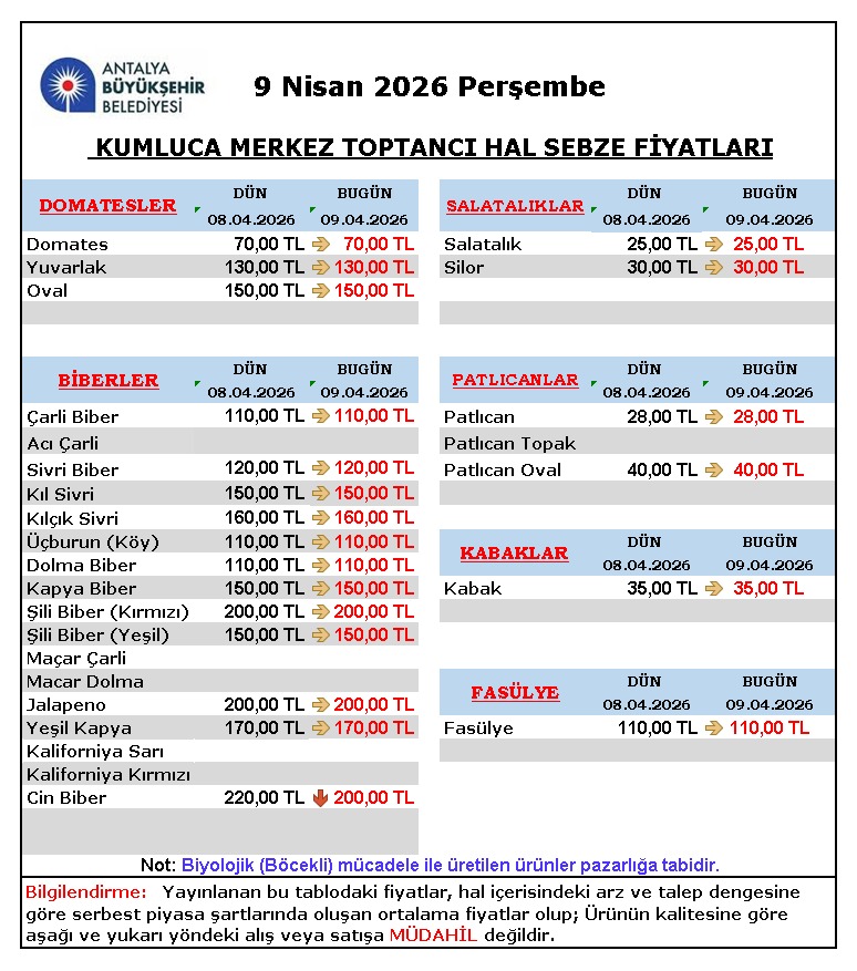 Cenker Cenk 🇹🇷 tweet media