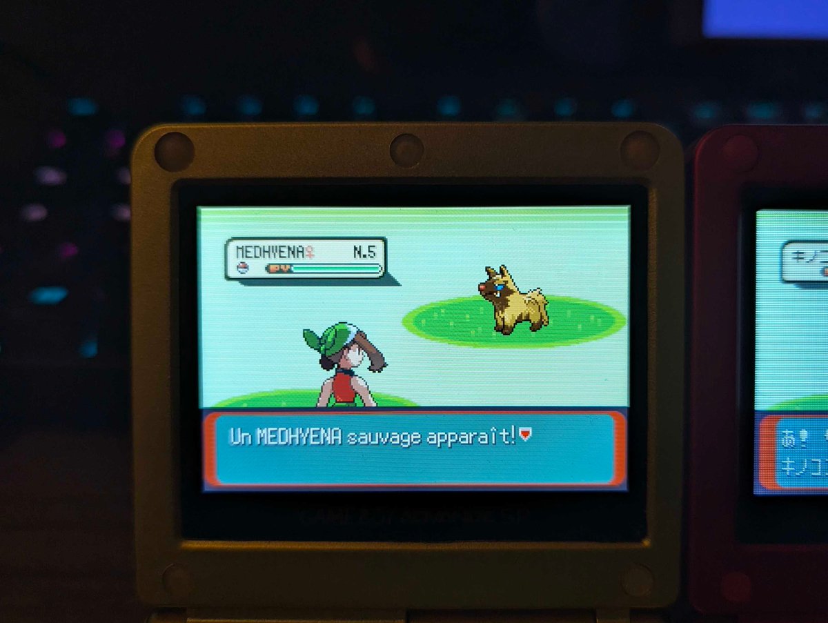 AndreaPoulpy's tweet photo. Shiny Pooch in Emerald after 14520 Re's, phase 1 for the 5% Slakoth ! First shiny on the quadruple SP setup https://t.co/ZoVH3fIetk