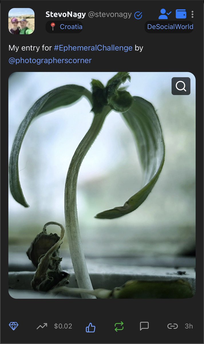 PhotographersCorner tweet media
