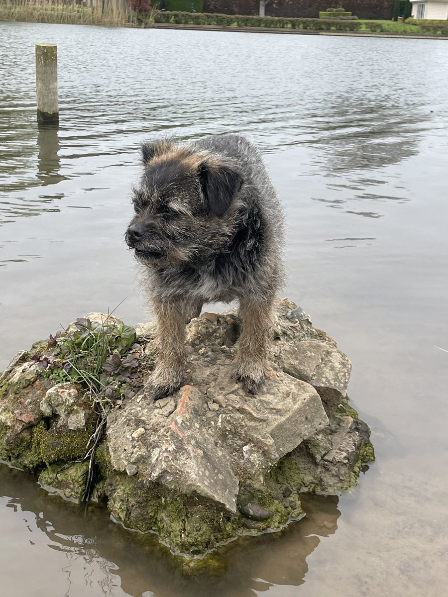 @TrudyTerrier OBE 👑 tweet media
