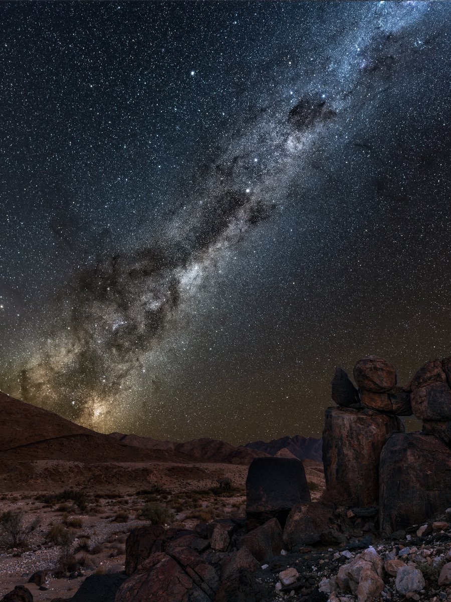 South African Tourism tweet media