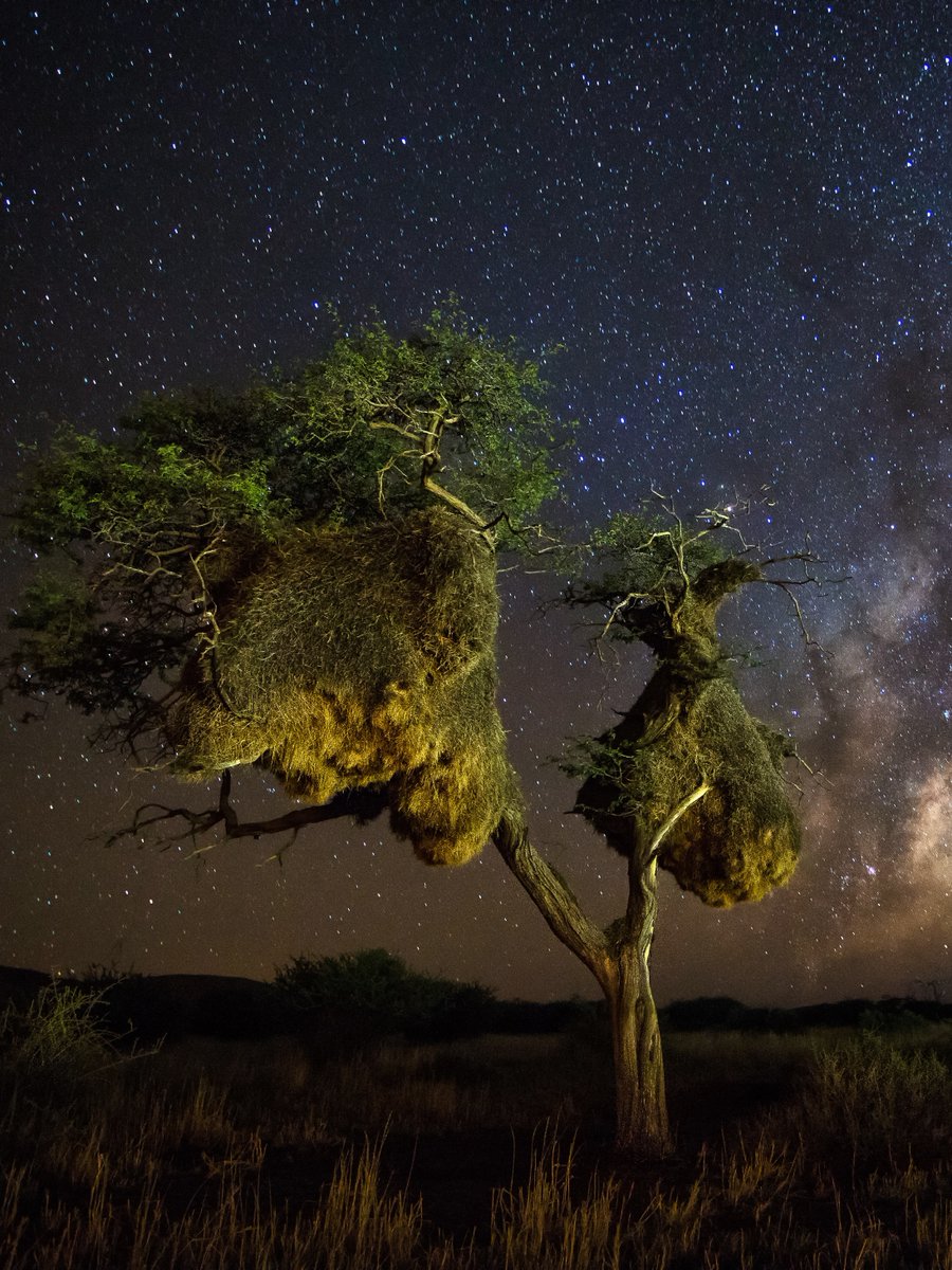 South African Tourism tweet media