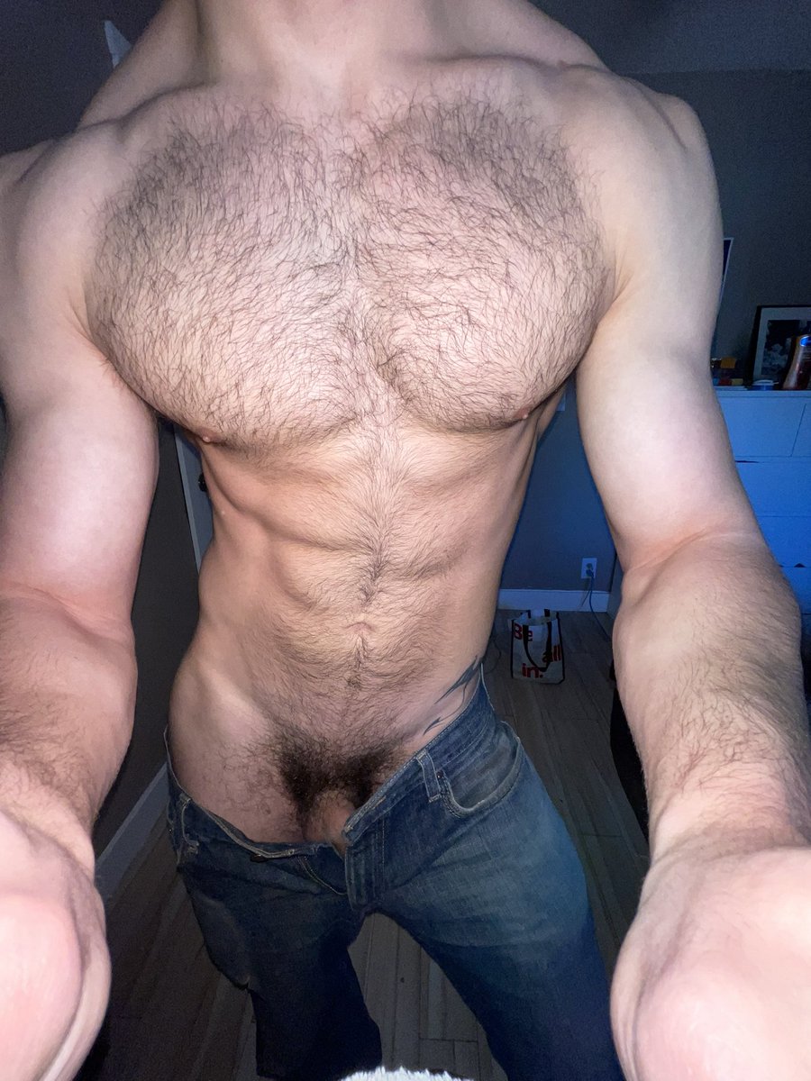 Persian Rugs & Co tweet media