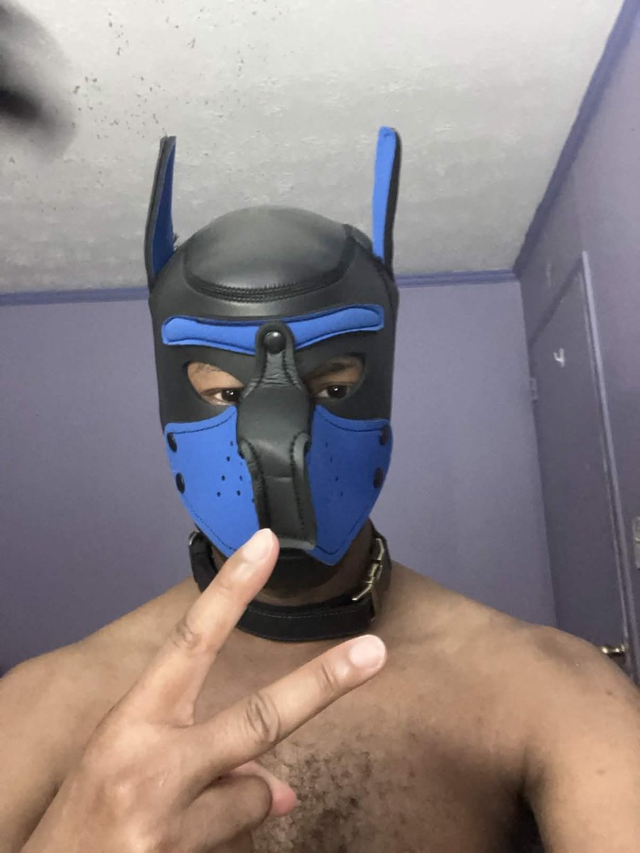 MODEL BOOSTERS tweet media