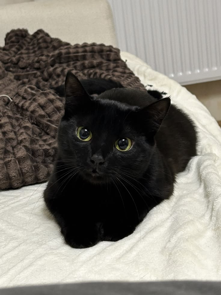 loh ENHYPEN IS 7. tweet media