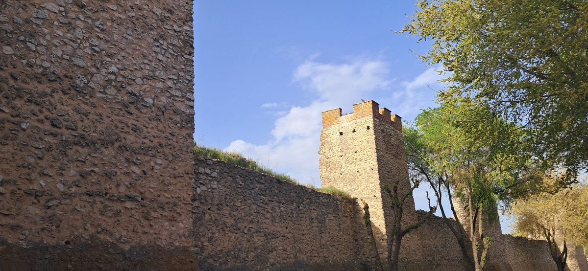 Valladolidnatu2's tweet photo. Olmedo, la villa de murallas y caballero.
#valladolid
#castillayleón https://t.co/DJf0T770cu