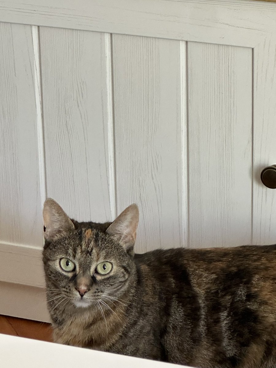 Marlenka tweet media