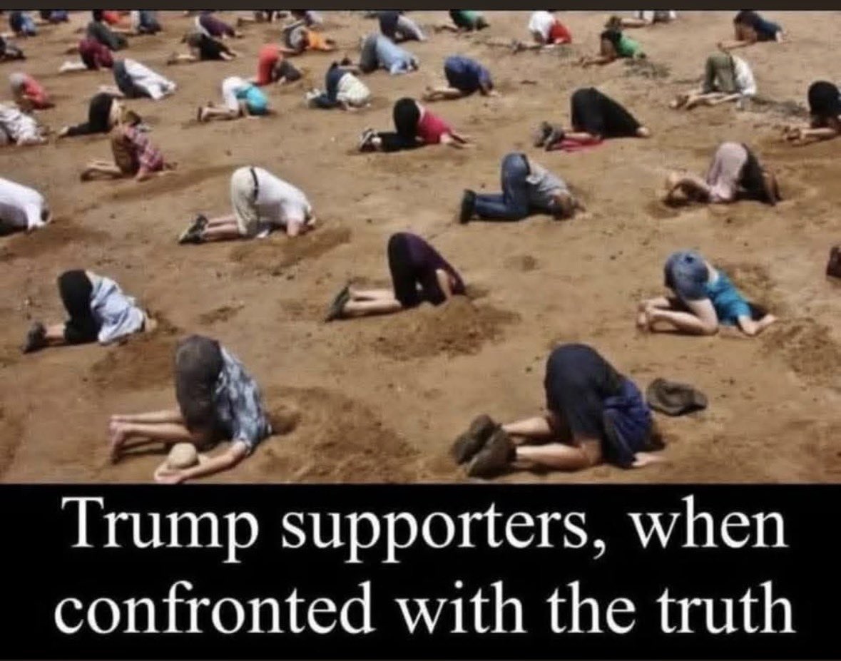 Wings of an Eagle 🟧 tweet media