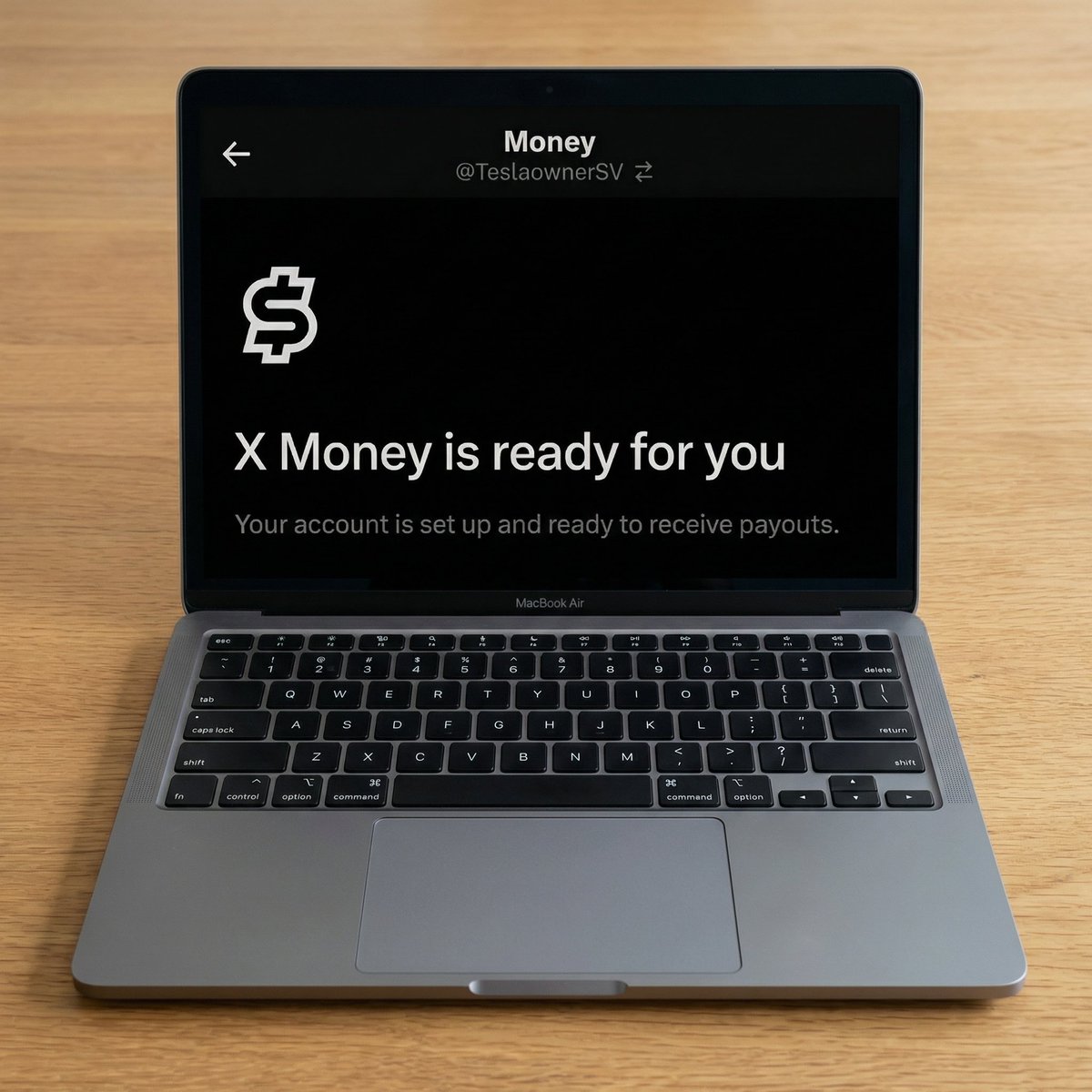 Tesla Owners Silicon Valley tweet media