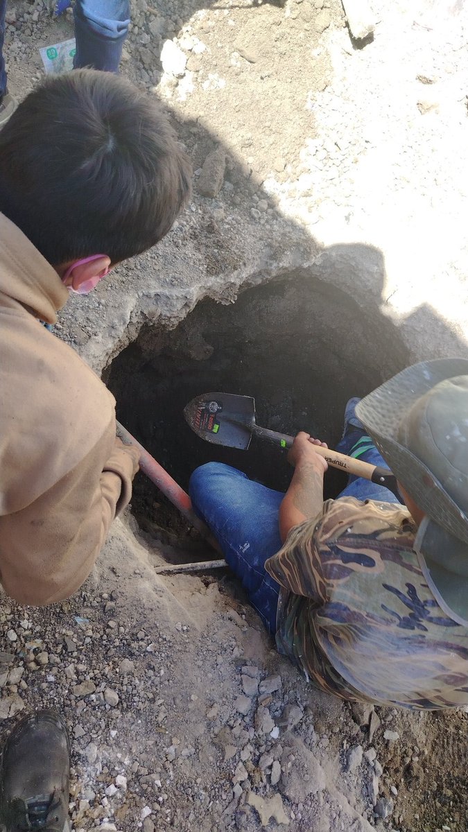 LuisCardenasMX tweet media