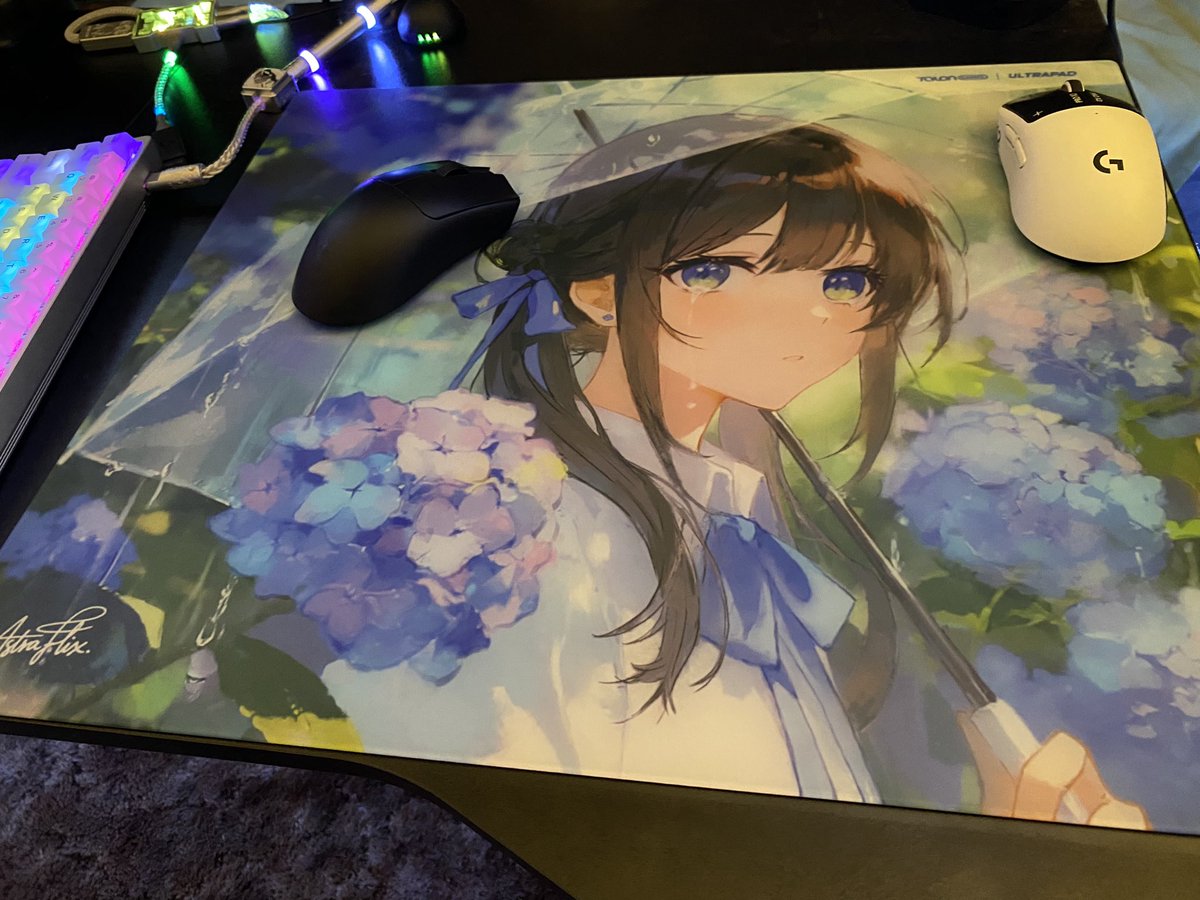 Surfbby (@surfbbyfn) on Twitter photo 