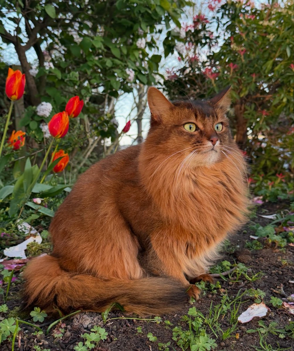 Purely Green tweet media