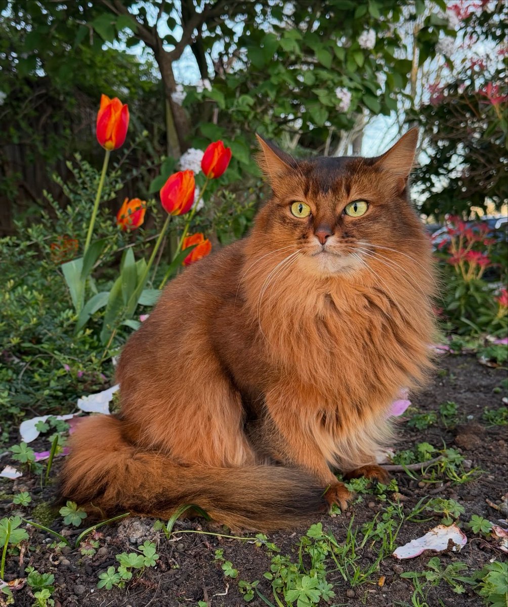 Purely Green tweet media