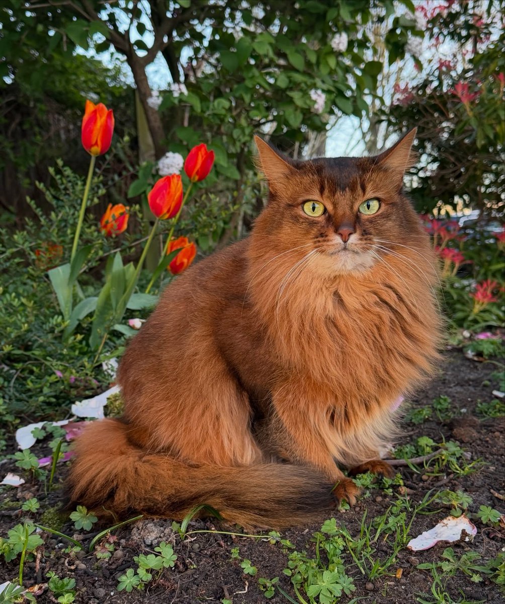 Purely Green tweet media