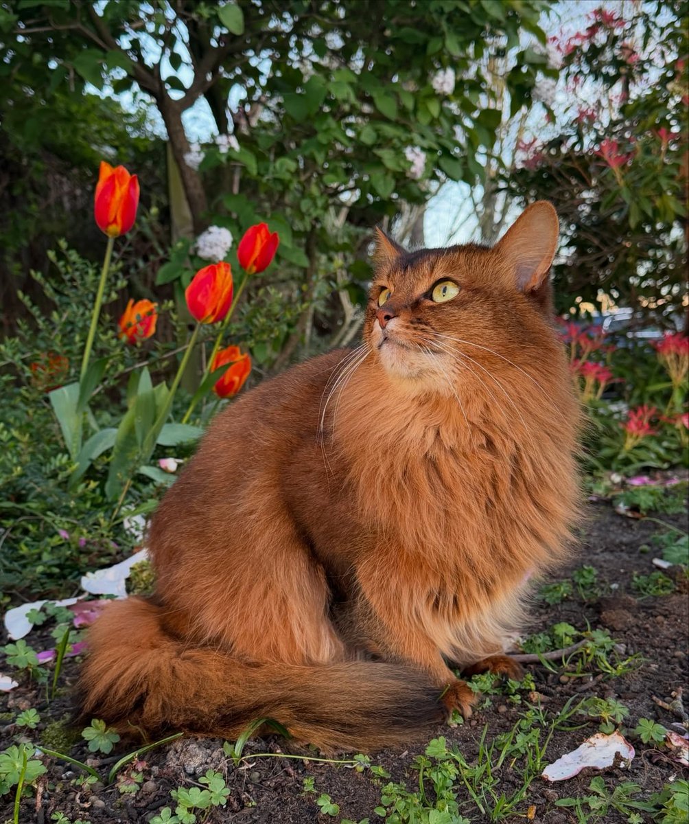 Purely Green tweet media