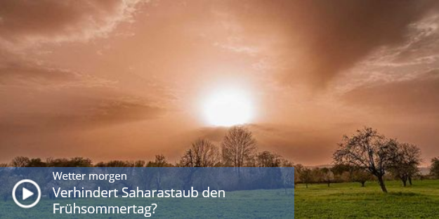 MyHamster🐹🐹🐹 tweet media