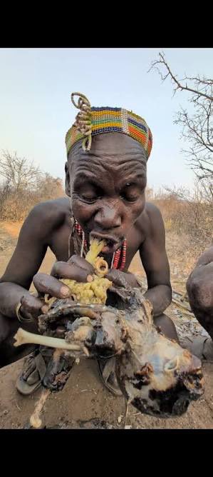 Lex Lurker tweet media