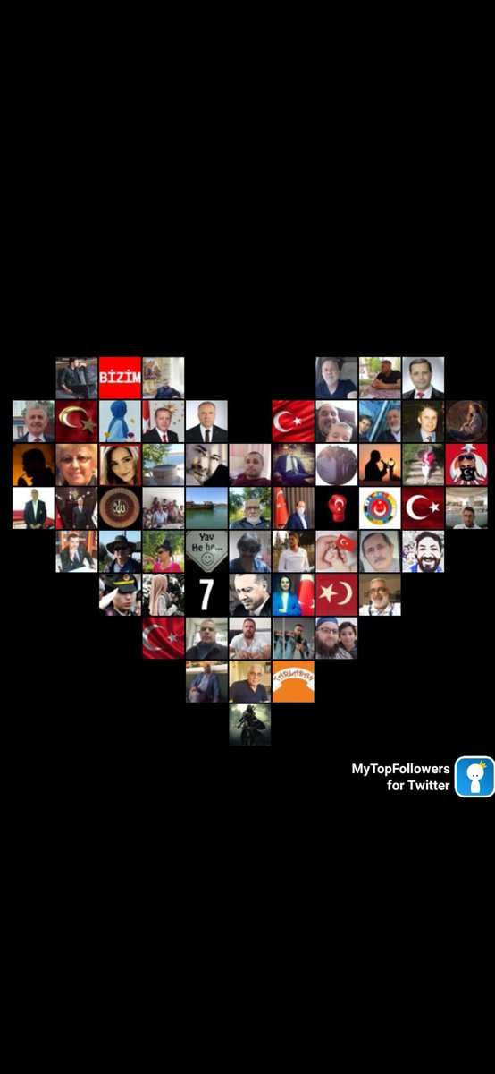 Ayseli Dogan tweet media