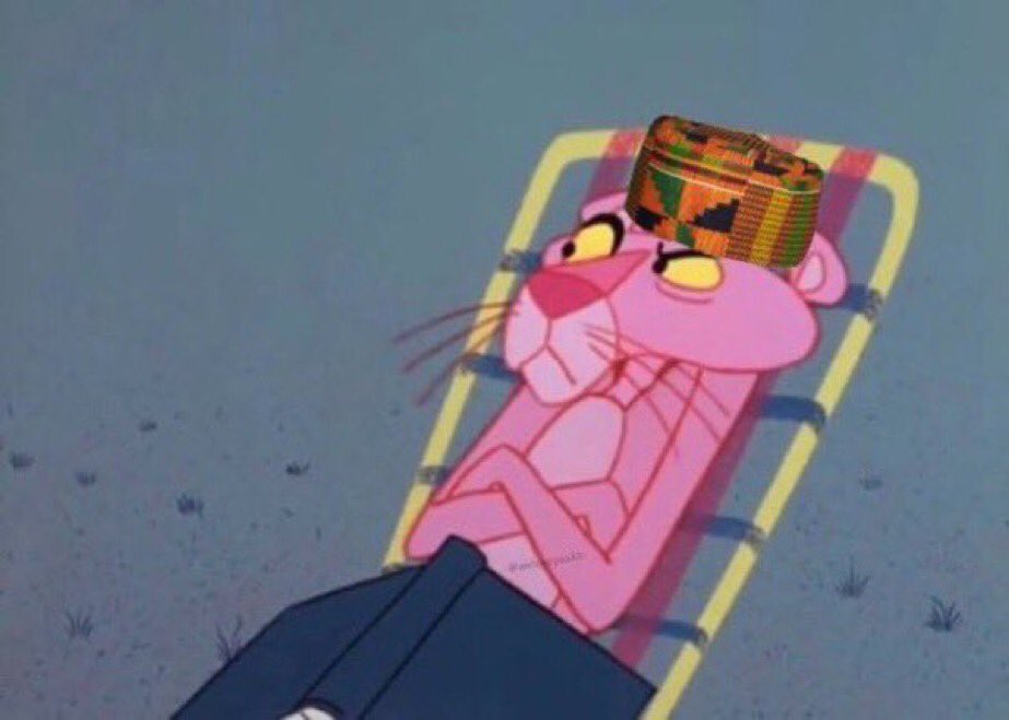 🐢✨America Is Musty✨🐢 tweet media