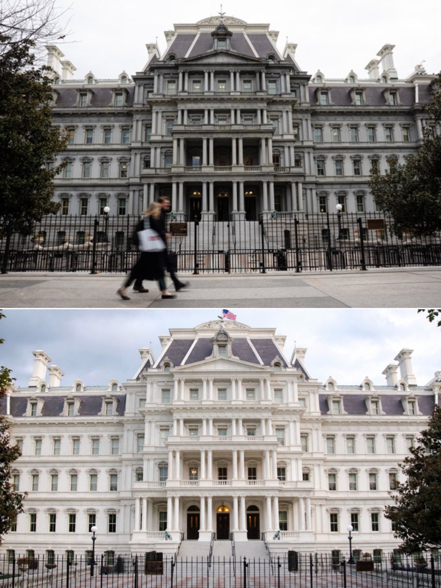 johnny maga tweet media