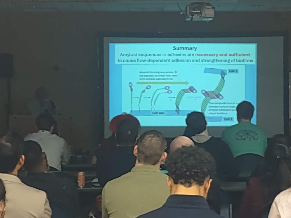 asm_eny's tweet photo. We had an amazing poster session and are now in our Keynote Speaker Lecture with Dr. Peter N Lipke. Don't miss his amazing talk on "Jedi Students Use the Force to Discover Cell Surface Amyloids in Fungal Biofilms and Disease".
#ENYSCASM #ENYASM #ASM #Symposium https://t.co/BC1Q3aGqVG